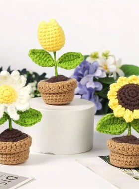 Crochet Kit for Beginners Starter Kits for Adults Craft Knit