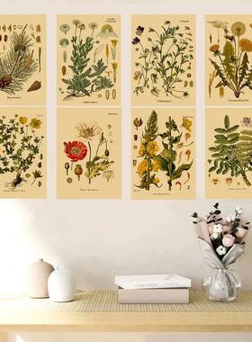 PlantFlowerStudyRsBi