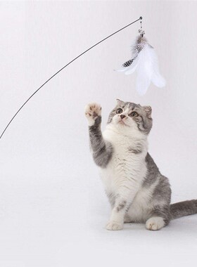Simulation Bird interactive Cat Toy Funny Feather Cat Stick