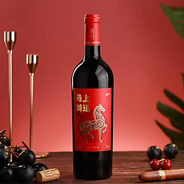 帝月马年生肖干红纪念红葡萄酒750ml[25元优惠券]-寻折猪