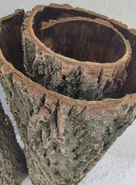 天然真树皮 柳树皮 树皮装饰  包管道柱子 道具用品 枯树 干树皮