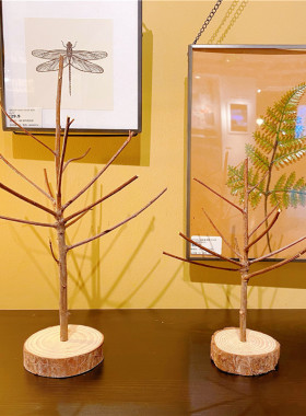 森系原木带皮树杈摆件多杈树枝桌面摆台森林侘寂风枯木树形装饰