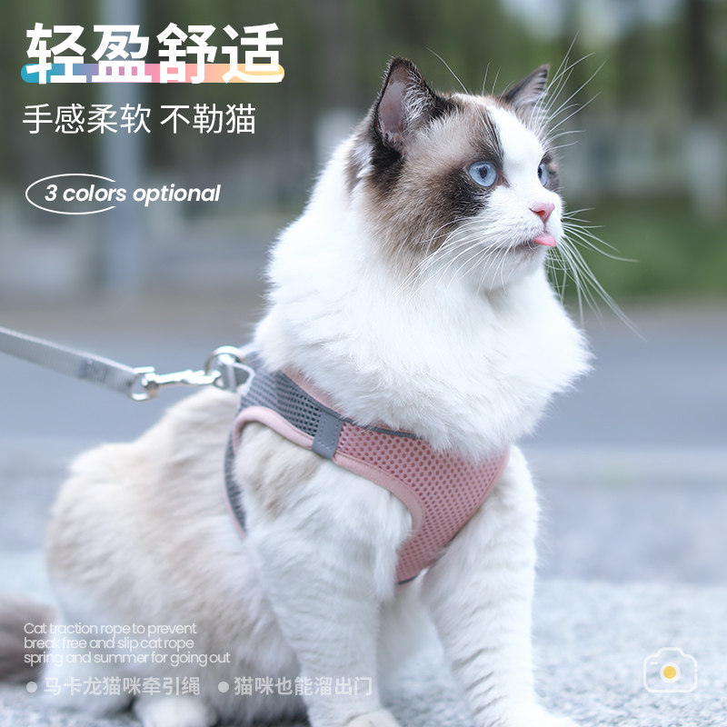 猫咪牵引绳防挣脱夏天外出专用遛猫绳背心式胸背带猫绳子用品大全,淘宝优惠券,粉丝福利购,淘宝优惠卷