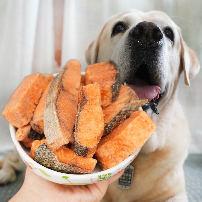 宠物狗零食原切大块三文鱼肉冻干磨牙棒大中小型犬奖励训犬拌狗粮,淘宝优惠券,粉丝福利购,淘宝优惠卷
