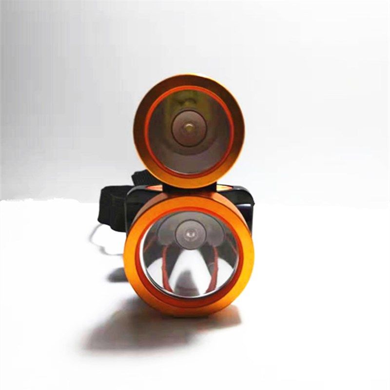 led头戴式蓝光头灯超亮充电强光夜钓多功能双头钓鱼蝎子灯紫光灯,淘宝优惠券,粉丝福利购,淘宝优惠卷