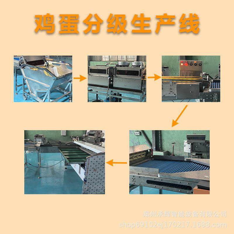 高效大容量鸡蛋处理设备水中上蛋清洗杀菌光检鸡蛋分级生产线,淘宝优惠券,粉丝福利购,淘宝优惠卷