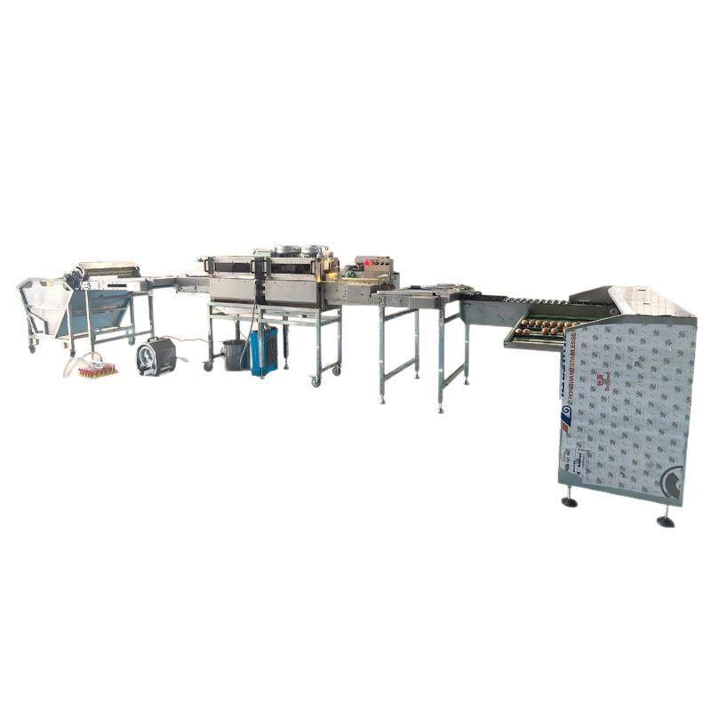 高效大容量鸡蛋处理设备水中上蛋清洗杀菌光检鸡蛋分级生产线,淘宝优惠券,粉丝福利购,淘宝优惠卷