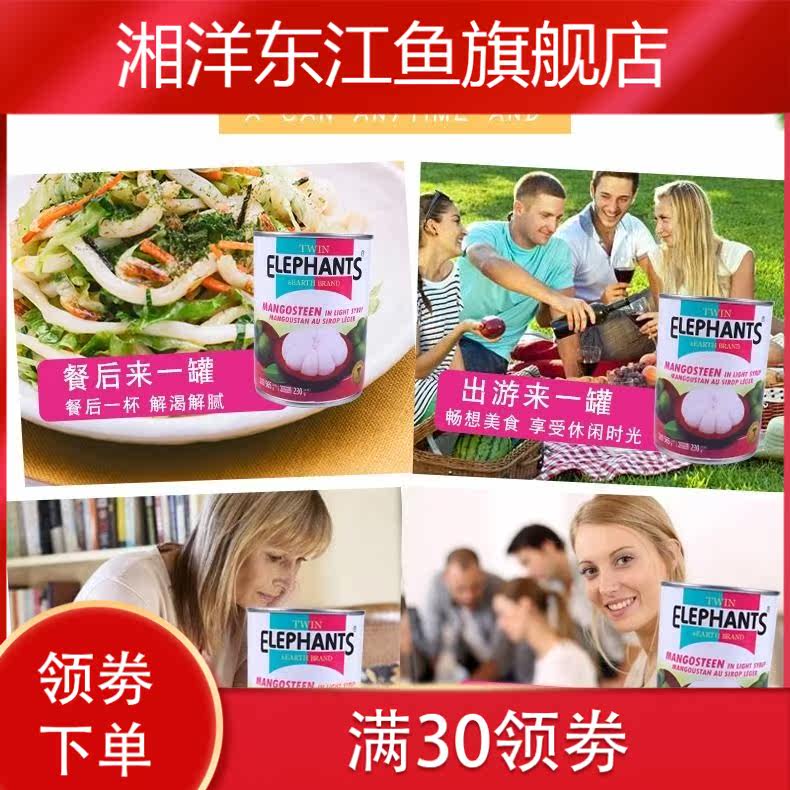 山竹新鲜竹糖水565g罐头 湘洋东江鱼水果罐头