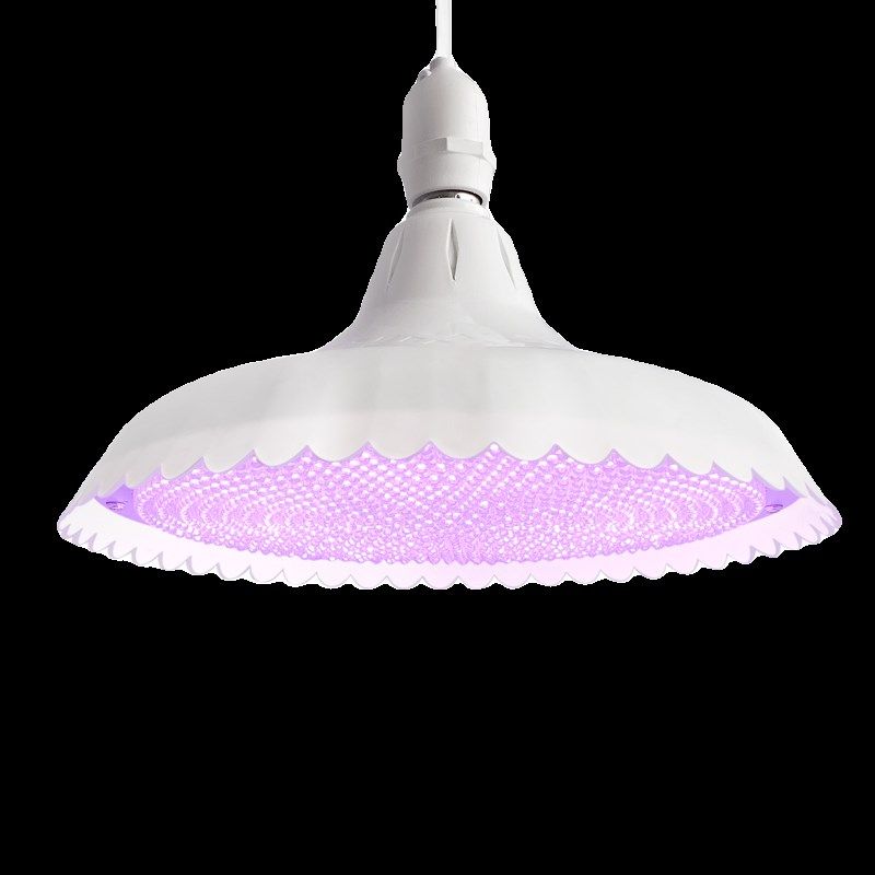 新国标LED隐形红生鲜灯全光谱猪肉牛羊水果海鲜熟食超市专用冷白,淘宝优惠券,粉丝福利购,淘宝优惠卷