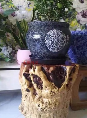 枣木墩子原木树墩根雕凳子木桩花架树桩实木茶几大板支架树根底座