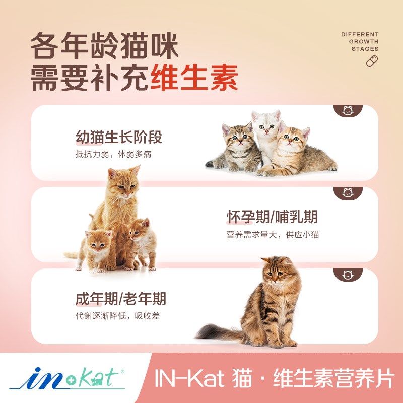 麦德氏猫维生素片260片*3复合维生素b美毛猫咪防猫藓,淘宝优惠券,粉丝福利购,淘宝优惠卷