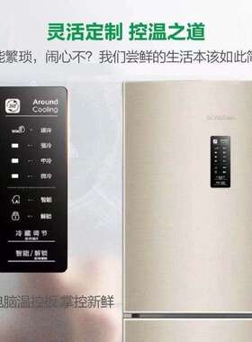容声BCD-221WD16NY无霜冰箱221升用电冰箱风冷无霜节能静音小型