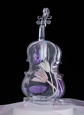 创意干花入油发光小提琴小夜灯星星灯油滴笔插液体流沙细闪摆件厂