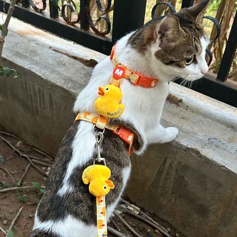 狗狗牵引绳胸背款加厚防挣脱外出专用可调节背心猫咪遛狗绳子宠物,淘宝优惠券,粉丝福利购,淘宝优惠卷