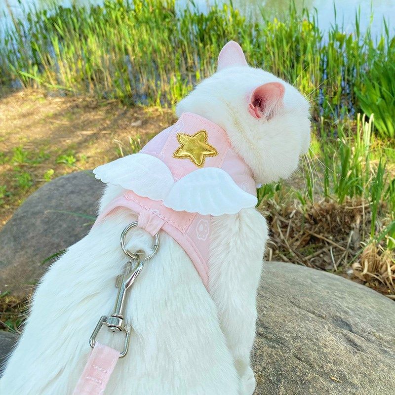 猫绳子牵引猫防挣脱拴猫绳幼猫网红猫链子猫咪专用牵引绳遛猫绳,淘宝优惠券,粉丝福利购,淘宝优惠卷