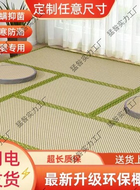 日式榻榻米垫子电加热椰棕床垫石墨烯电热炕垫新款塌塌米地垫
