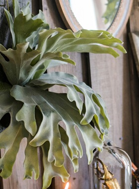 北欧风大型鹿角蕨仿真植物壁挂画