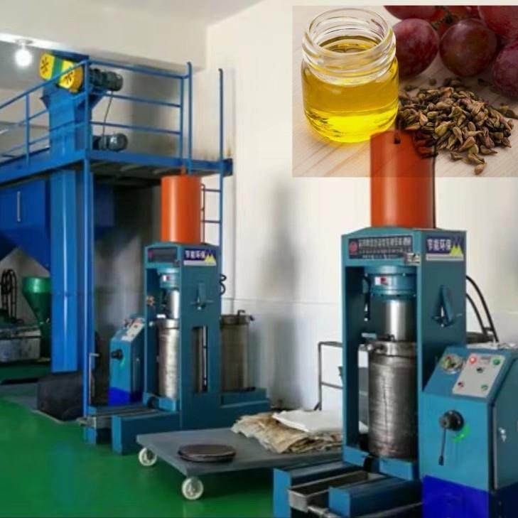 葡萄籽油生产线,普通籽榨油机,元宝枫籽油生产线,核桃油设备,淘宝优惠券,粉丝福利购,淘宝优惠卷