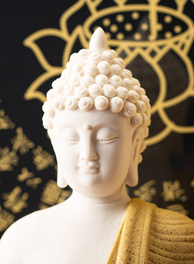 陶瓷释迦摩尼佛大日如来佛像客厅创意玄关禅意装饰画心经灯圈摆件