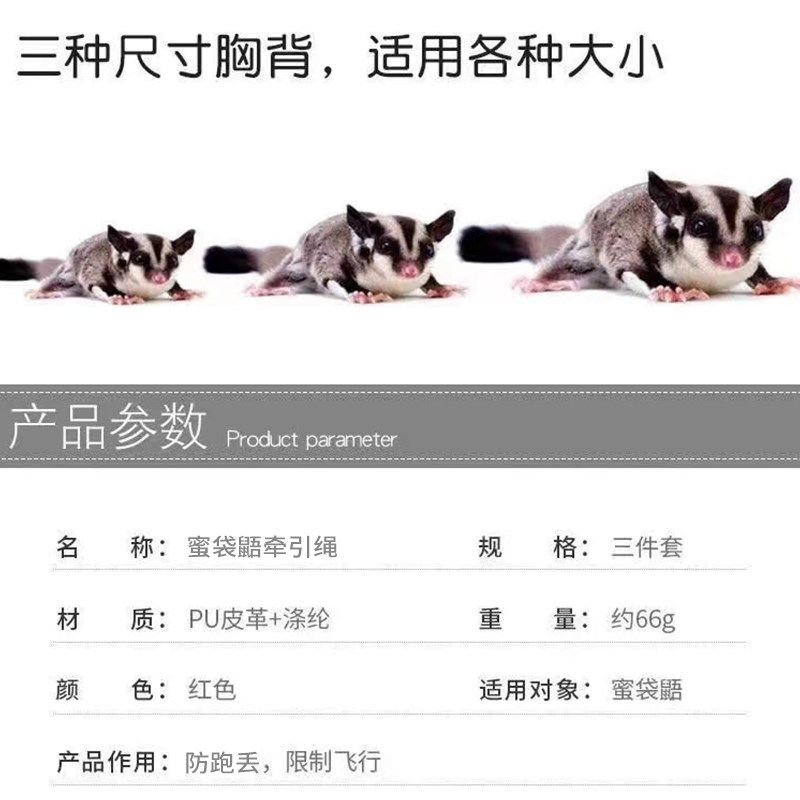 蜜袋鼯专用牵引绳外出衣服背带式外出绳子飞鼠蜜袋鼬防飞防丢套,淘宝优惠券,粉丝福利购,淘宝优惠卷