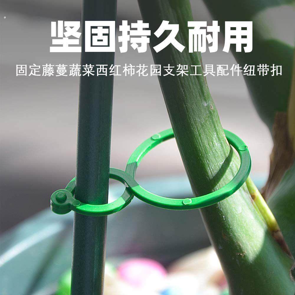 黄瓜西红柿豆角爬藤8字夹绿植蔬菜捆藤蔓固定夹园林工具8字扣八字,淘宝优惠券,粉丝福利购,淘宝优惠卷