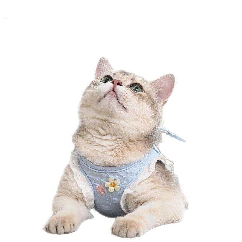 猫咪牵引绳防挣脱外出专用溜猫背心式背带小型犬小猫猫防丢遛猫绳,淘宝优惠券,粉丝福利购,淘宝优惠卷