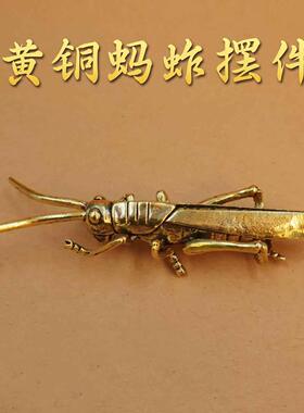 黄铜蚂蚱蝗虫铜制工艺品家居摆件茶宠蚱蜢复古收藏古玩手把件礼品