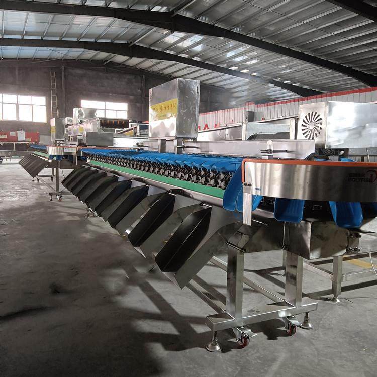 牡蛎自动重量分选机 三倍体生蚝清洗分拣机 鸡爪鸡翅称重分级机,淘宝优惠券,粉丝福利购,淘宝优惠卷