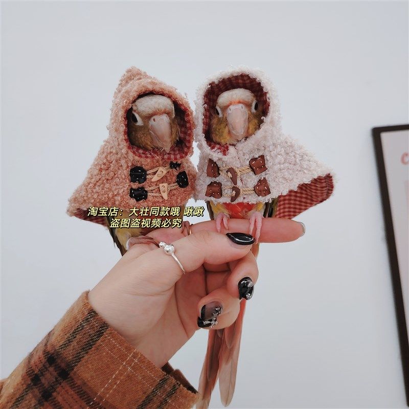 牛角扣款鸟衣服鹦鹉披风斗篷加厚保暖外出鹦鹉用品,淘宝优惠券,粉丝福利购,淘宝优惠卷