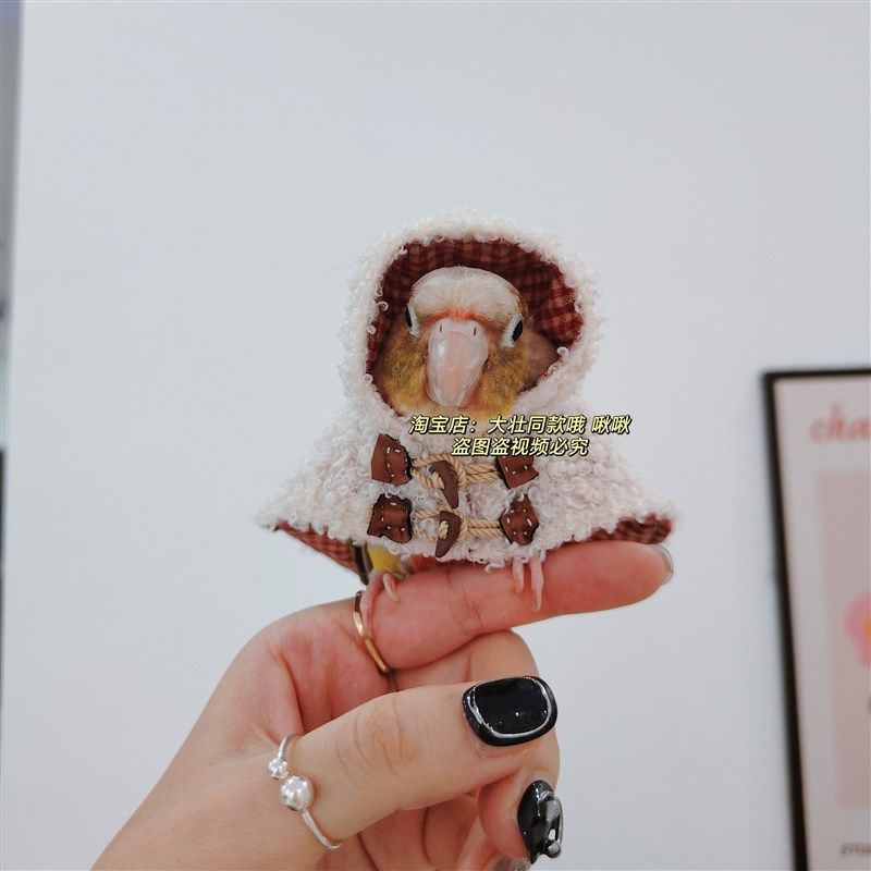 牛角扣款鸟衣服鹦鹉披风斗篷加厚保暖外出鹦鹉用品,淘宝优惠券,粉丝福利购,淘宝优惠卷