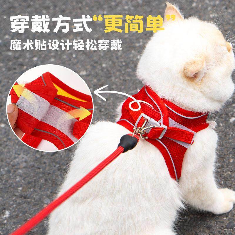 猫咪牵引绳防挣脱遛猫牵引绳可爱猫咪口水巾胸背带外出专用遛猫绳,淘宝优惠券,粉丝福利购,淘宝优惠卷