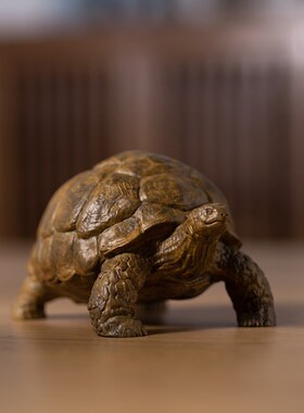 黄铜乌龟金钱龟摆件家居装饰客厅办公室桌面电视柜子茶桌茶宠摆件