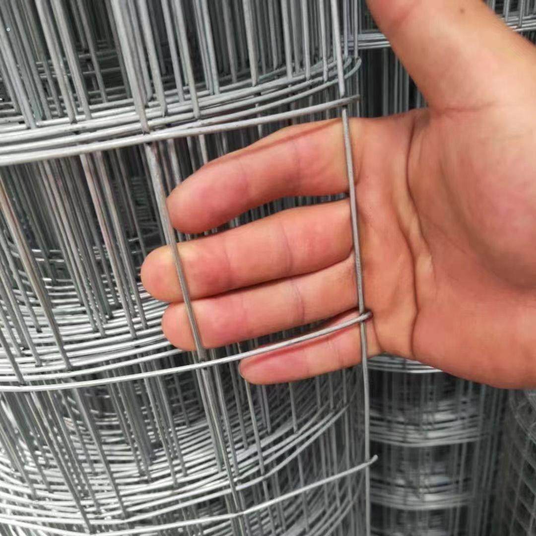 钢丝网镀锌铁丝围栏小孔防鼠养殖网户外栅栏护栏防锈兔笼防护宠物,淘宝优惠券,粉丝福利购,淘宝优惠卷