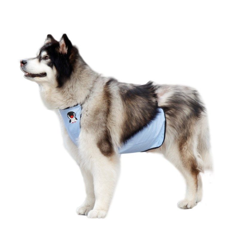 宠物肚兜大狗狗肚兜围兜防着凉夏季薄款外出防脏口水巾防水护肚子,淘宝优惠券,粉丝福利购,淘宝优惠卷