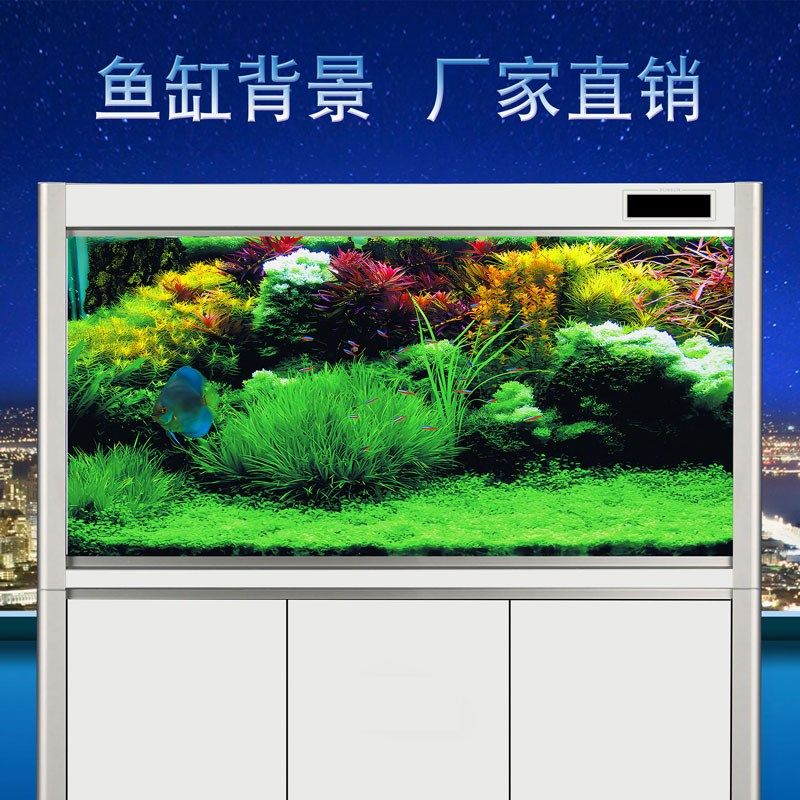 定制鱼缸背景贴纸高清鱼缸壁纸亮丽珊瑚群图案3d立体水族箱背景壁,淘宝优惠券,粉丝福利购,淘宝优惠卷