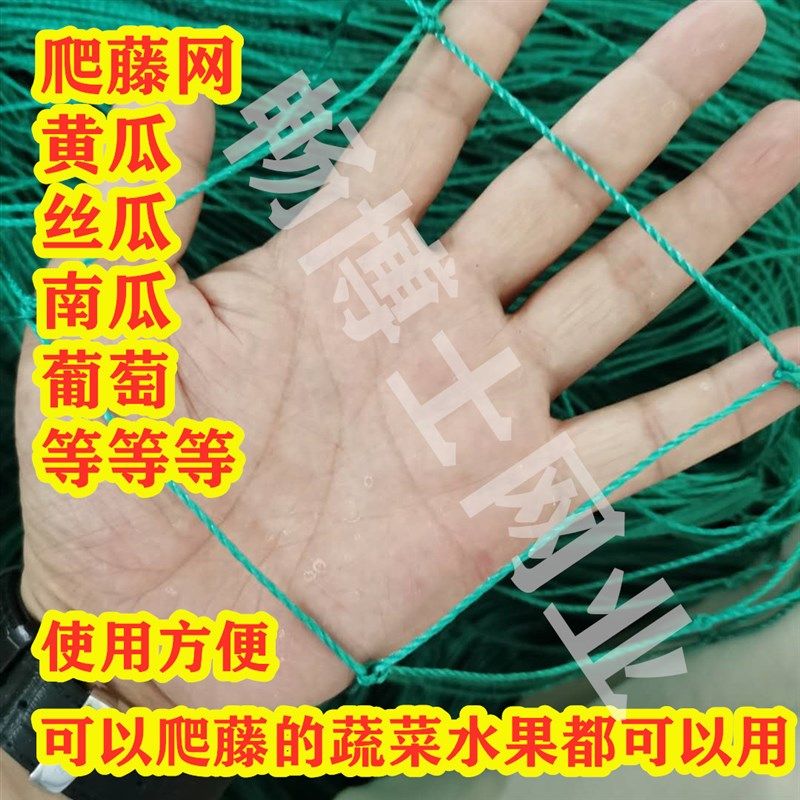 爬藤百香果葡萄蔬菜搭架豆角网种植网花支架苦瓜黄瓜爬藤网农用,淘宝优惠券,粉丝福利购,淘宝优惠卷