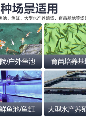 鱼池过滤器鱼便分离转鼓微滤机水产养殖水循环自动反冲洗系统设备