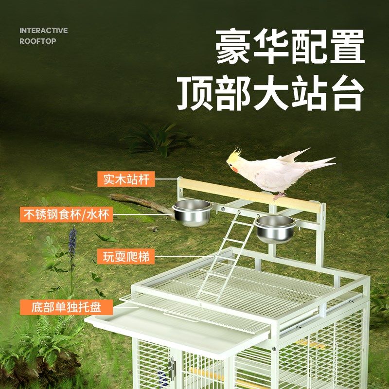 专用配件竖宫格鸟笼互动云顶站台鸟玩具竖丝/横丝鸟笼配件大全,淘宝优惠券,粉丝福利购,淘宝优惠卷