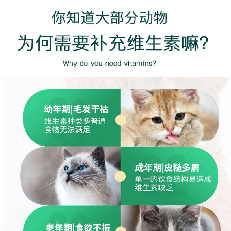 德文卷毛专用复合维生素片宠物补充剂成幼猫维生素B猫咪营养保健,淘宝优惠券,粉丝福利购,淘宝优惠卷