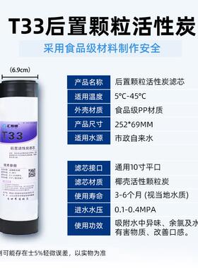 汇斯顿33椰壳活性炭10寸滤芯家用后置自来水净水器配件通用过滤