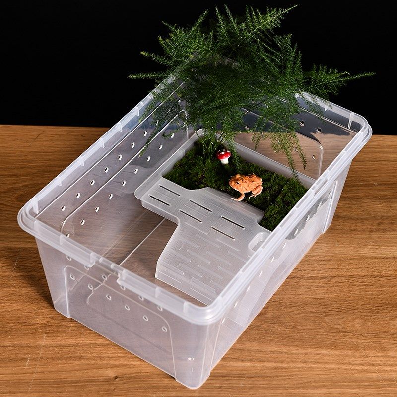 角蛙饲养箱干湿分离饲养盒乌龟螃蟹角蛙两栖宠物晒台爬台水陆造景,淘宝优惠券,粉丝福利购,淘宝优惠卷