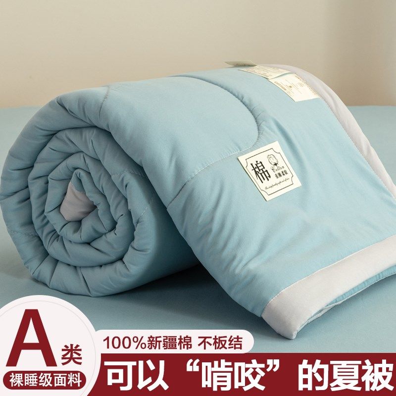 A类100新疆纯棉花被空调被夏季可机洗夏凉被学生棉被单双人薄被子,淘宝优惠券,粉丝福利购,淘宝优惠卷