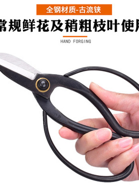 金田古流铗园艺剪刀修枝剪花店学校插花培训剪刀生花枝花道铗3002