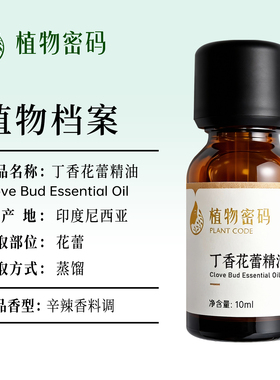 丁香花蕾单方精油印度尼西亚进口