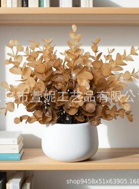 跨境秋色系套装仿真绿植小盆栽家居客厅装饰尤加利白盆桌面摆件