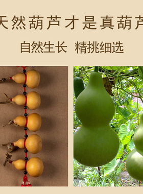 天然小葫芦挂件门帘装饰长串文玩真葫芦门口挂饰家居阳台客厅摆件