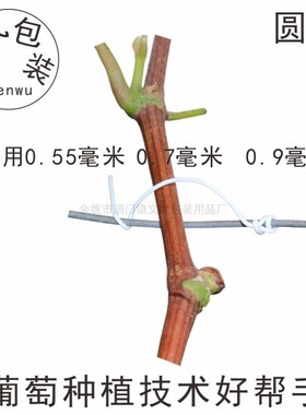 电镀锌铁丝扎线 1000条捆电线扎带 葡萄枝条扎条 通信线 铁芯扎丝