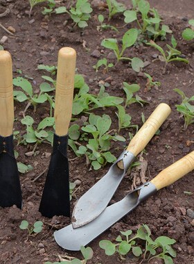 园林艺挖野菜铁铲大蒜种花小铲子养花工具赶海家农用种菜工具多肉