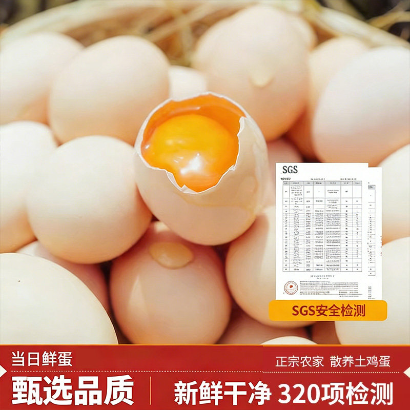 守山翁 正宗农家散养土鸡蛋 过年实惠装鲜鸡蛋