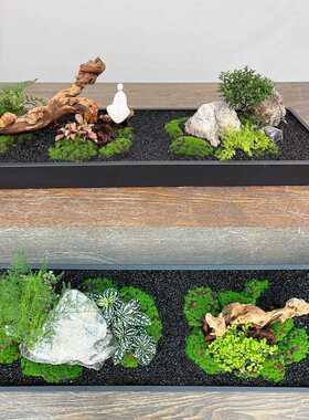 铁艺造景花盆长方形桌面景观绿植苔藓托盘花器室内装饰不锈钢花槽